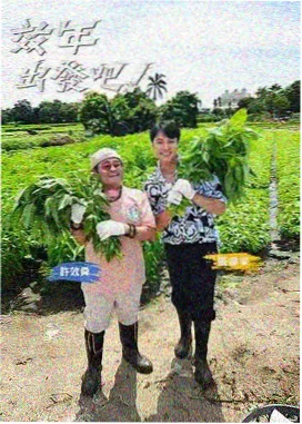 小巷人家 幕后花絮